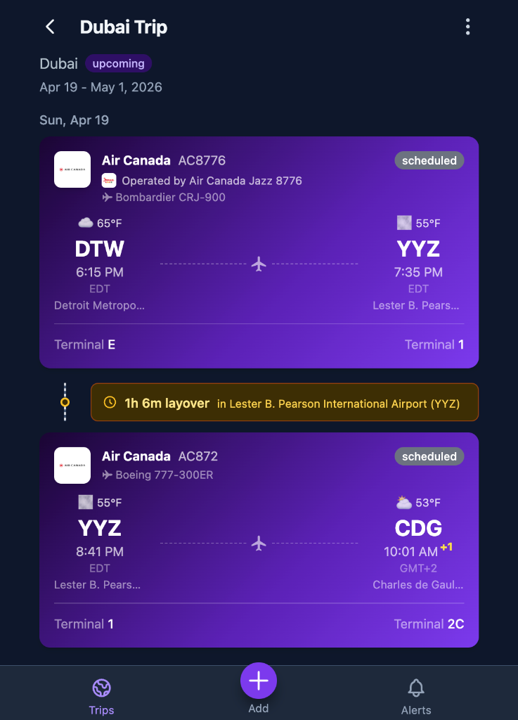 Live flight tracking view